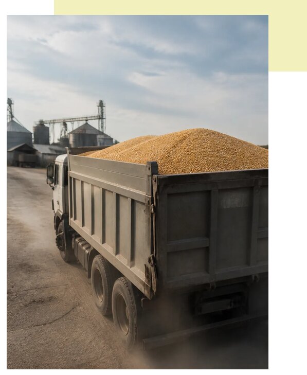 Перевозка сельхозпродукции навалом в Бугульму по цене от 3032 р. | Агросервис-Бгл